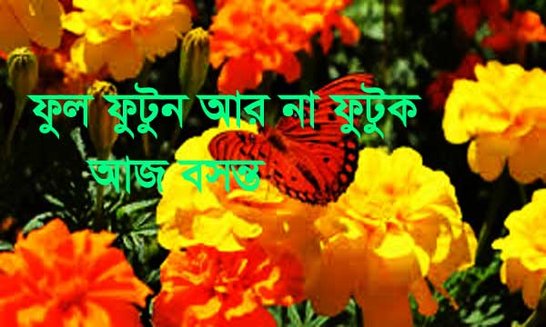Pohela Falgun Image