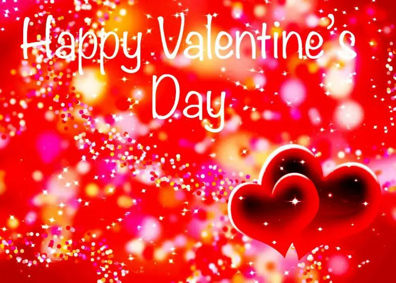 30+ Best Valentine Day Quotes : Friends, Family & Girlfriend - Educationbd