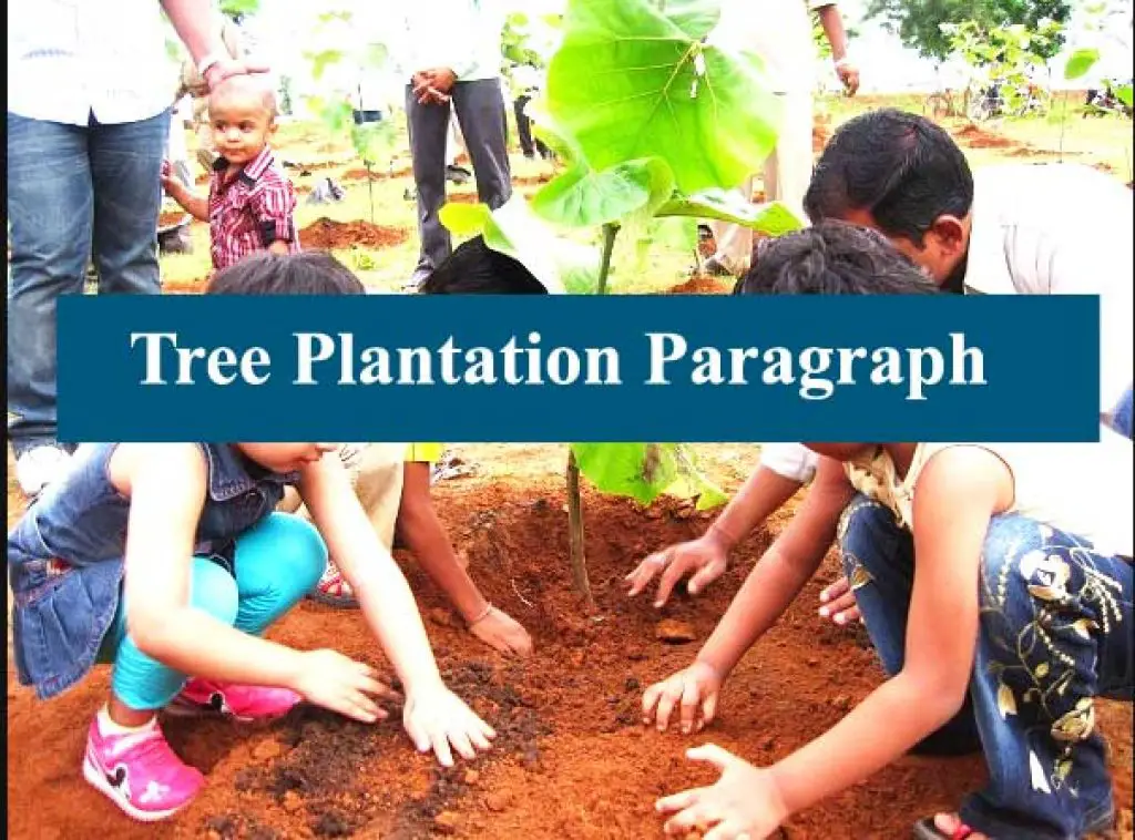tree plantation essay 250 words