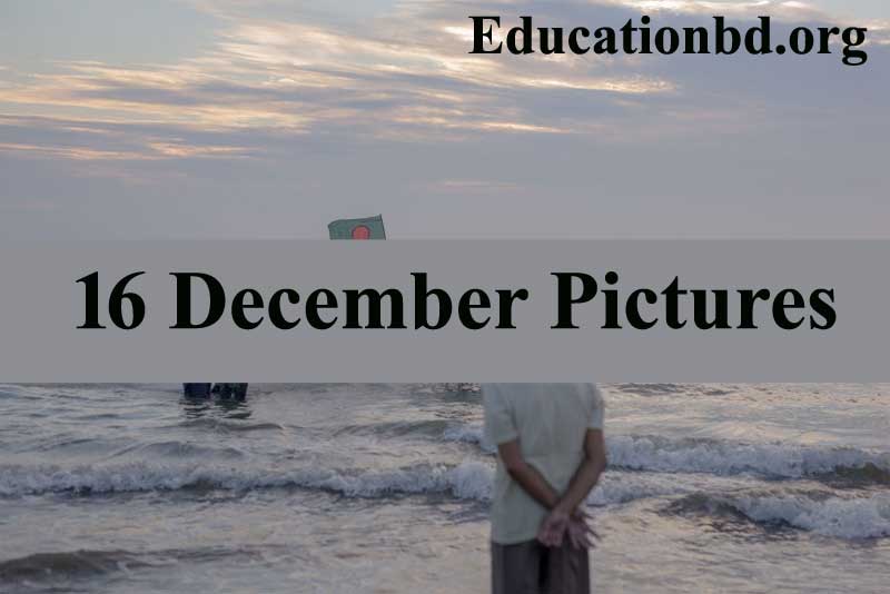 16 December Picture
