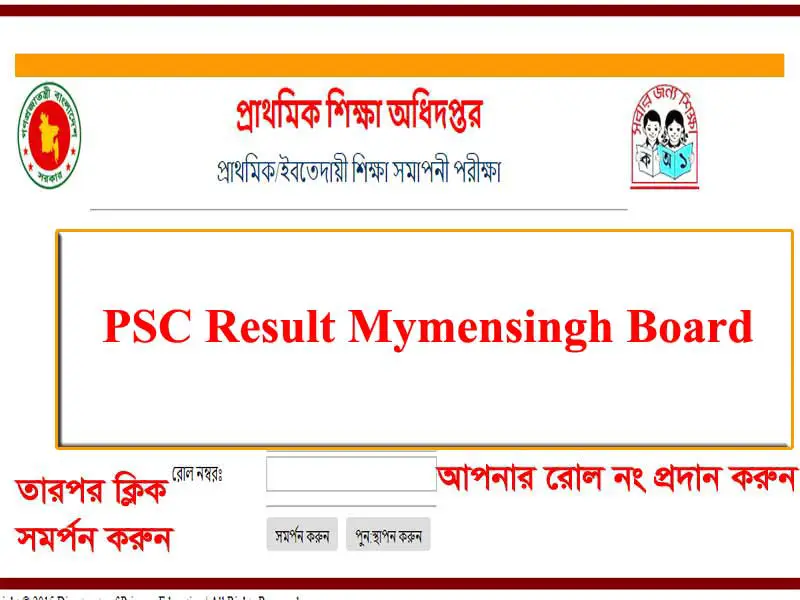 PSC Result 2019 Mymensingh Board