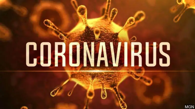 Corona Virus paragraph For All Competitive Exam