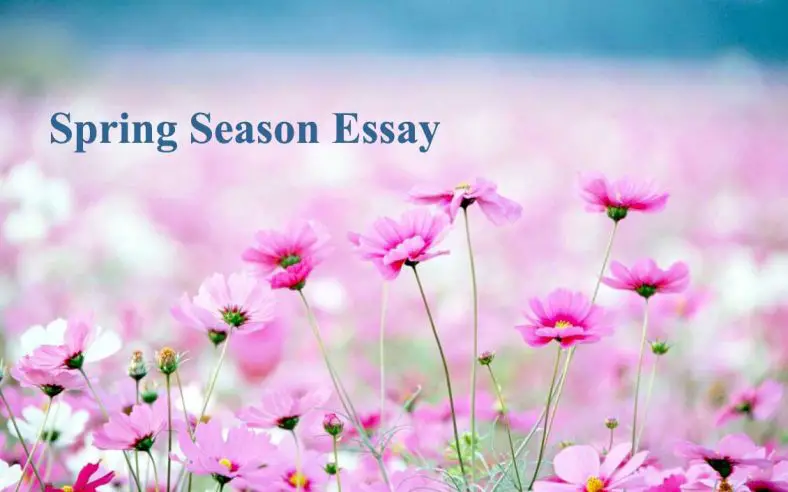 Spring Season Essay For All Class Students