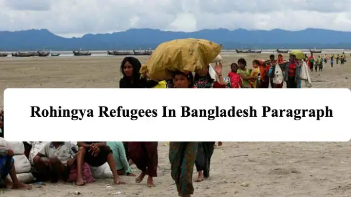 Rohingya Refugees In Bangladesh Paragraph
