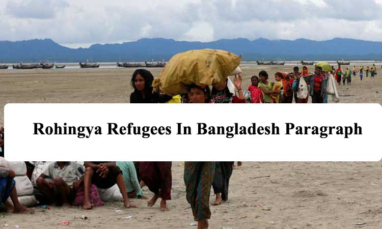 Rohingya Refugees In Bangladesh Paragraph