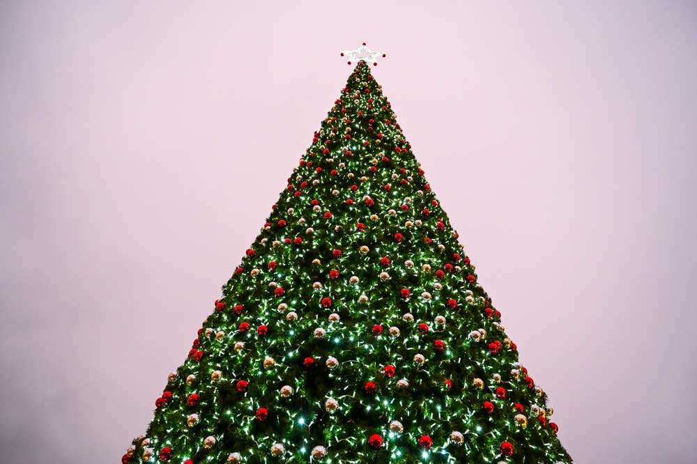 Christmas Tree Pictures HD