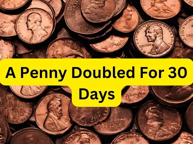 A Penny Doubled For 30 Days