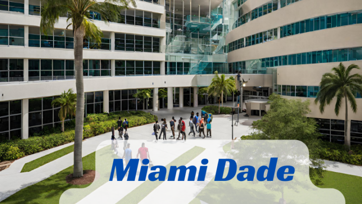 Miami Dade College Courses