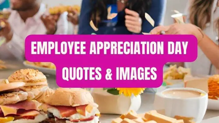 Employee Appreciation Day Quotes & Images Educationbd