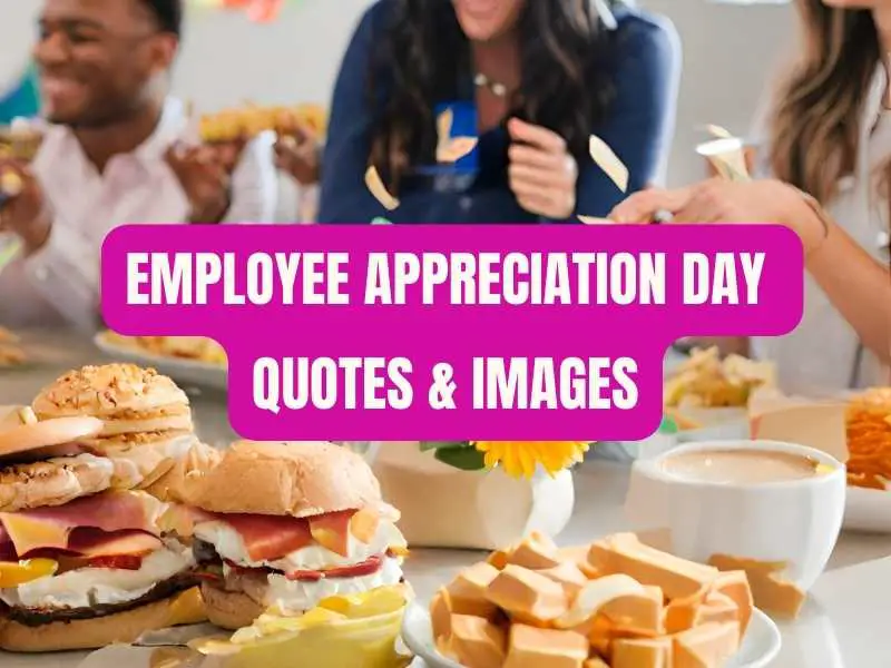 Employee Appreciation Day Quotes & Images - Educationbd